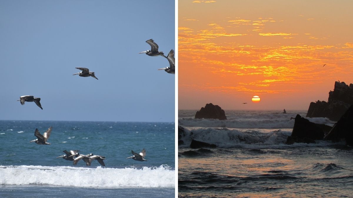 NUEVAS-PLANTILLAS-93