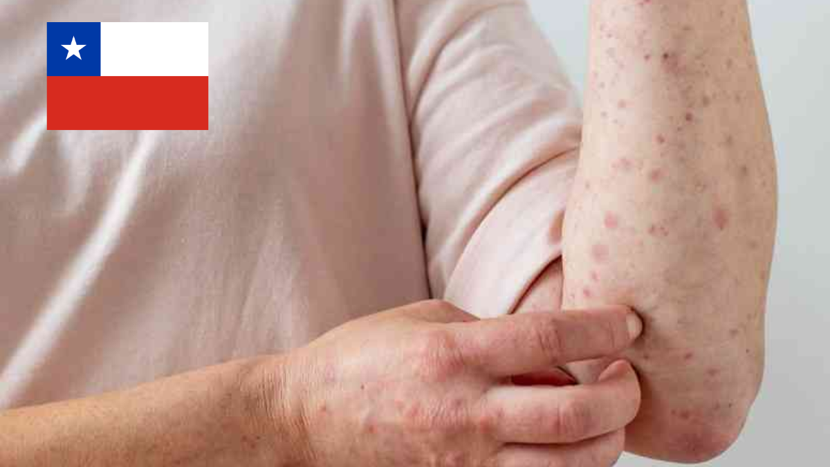 NUEVO-BONO-ALIMENTARIO-3