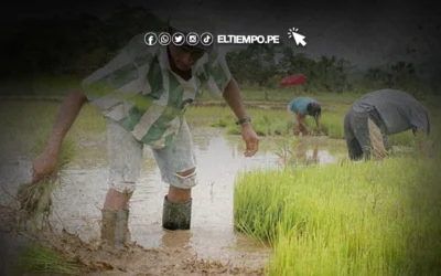 Piura: Proponen proyecto que reducirá huella hídrica