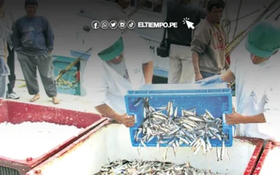 Piura: caída del sector pesca ocasiona retroceso de la economía