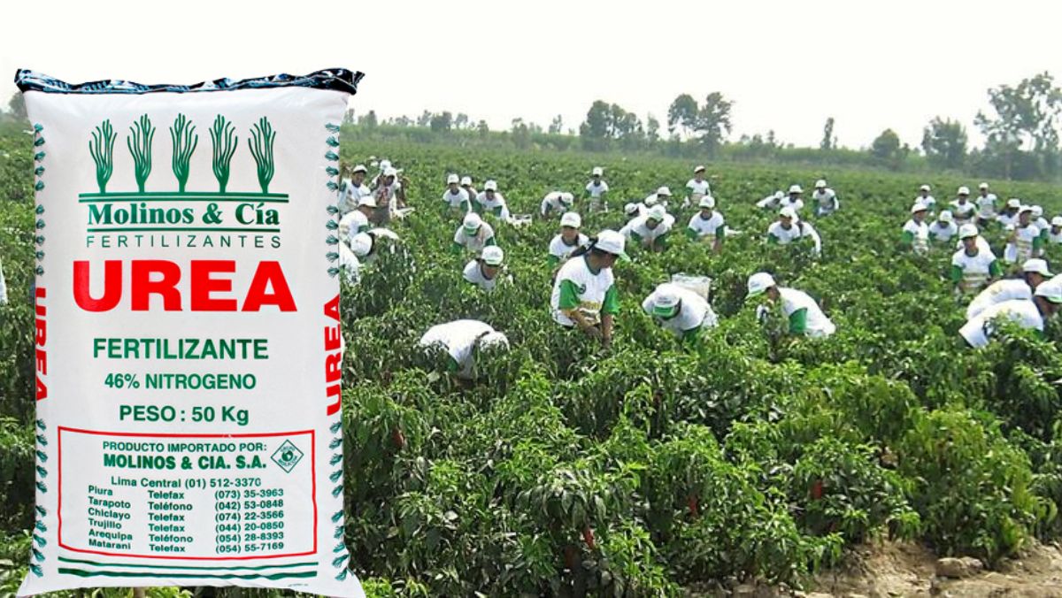 xr:d:DAFBGIDMQBk:253,j:28284922258,t:22060923