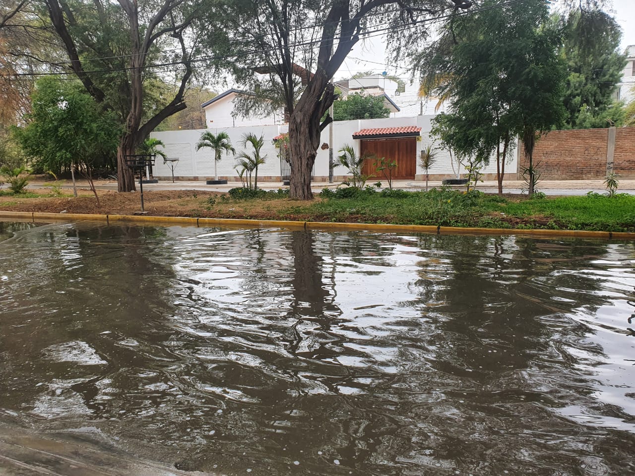 WhatsApp-Image-2020-07-29-at-09.26.33