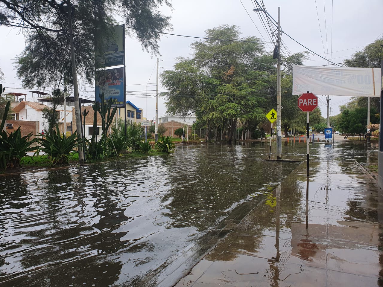 WhatsApp-Image-2020-07-29-at-9.26.31-AM