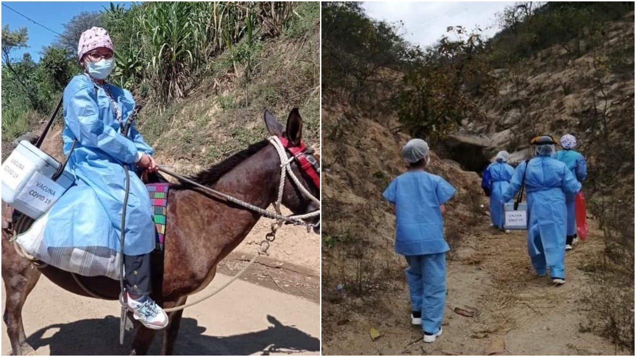 WhatsApp-Image-2021-07-17-at-13.15.33