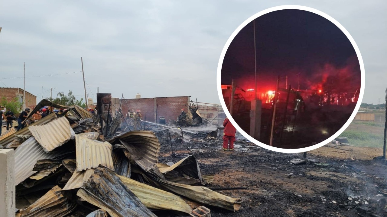 WhatsApp-Image-2022-01-14-at-4.03.31-PM-1