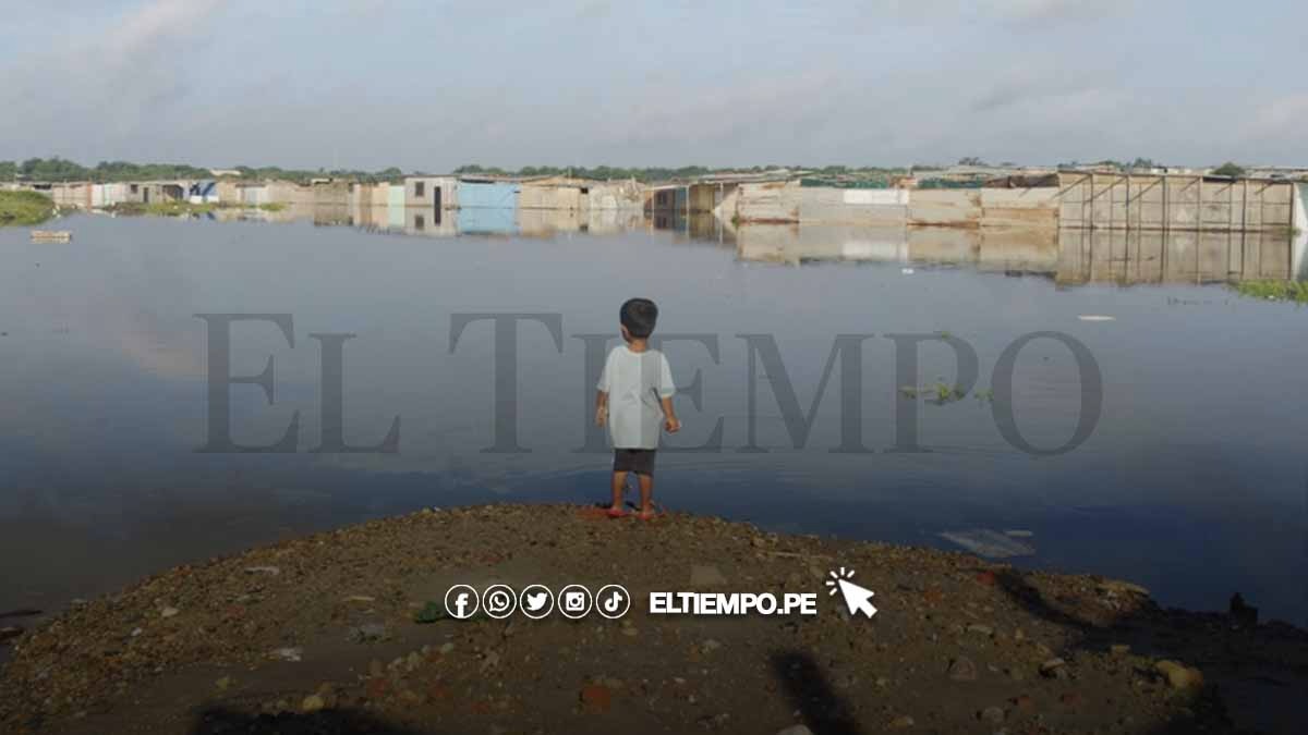 WhatsApp-Image-2023-04-03-at-08.33.41