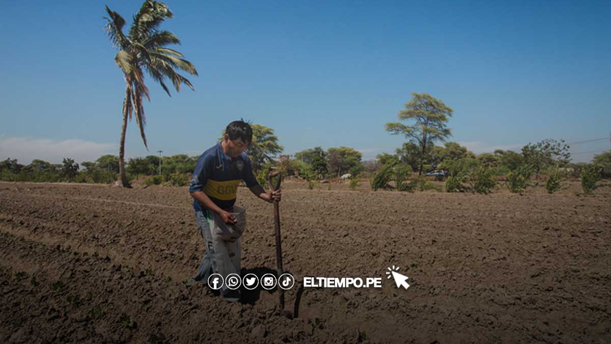 agricultores-piruanos