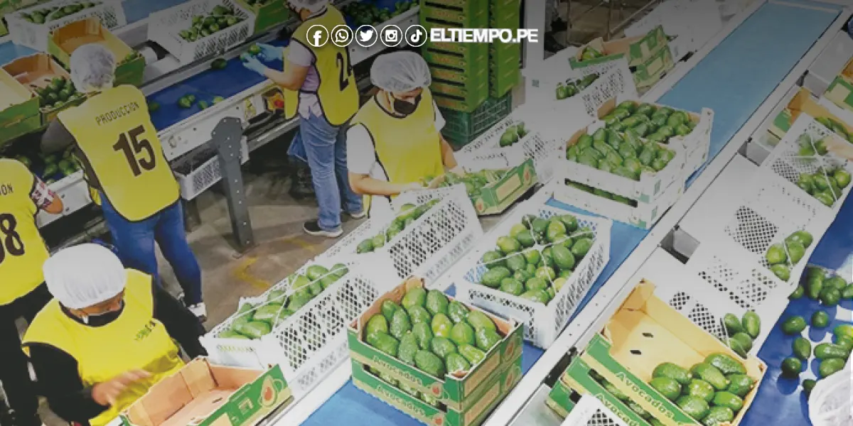 agroexportacion-peru