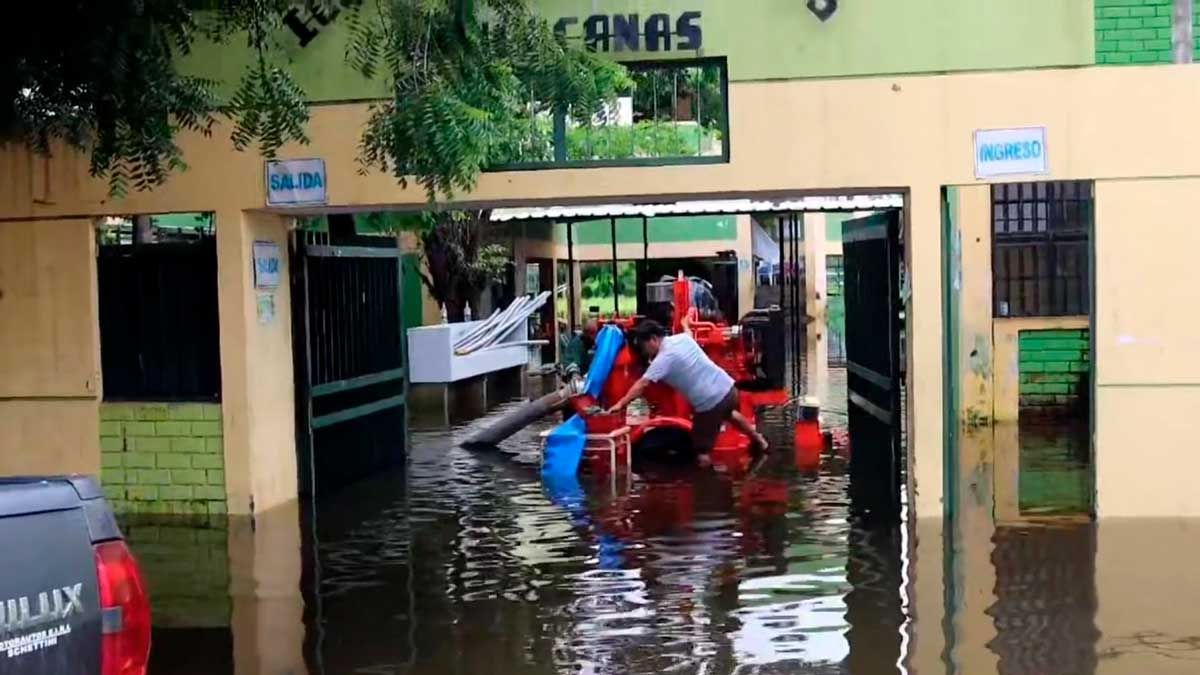 agropecuario-colegio