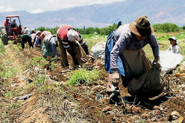 agropecuario