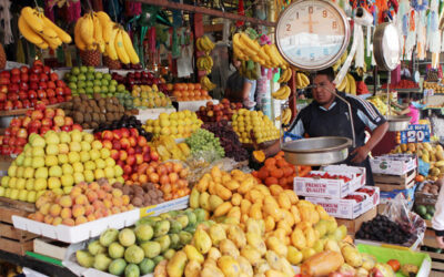 ¿Qué alimentos debería almacenar para una posible cuarentena?