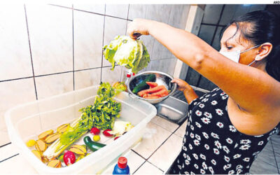 Los alimentos no son vías de transmisión del coronavirus