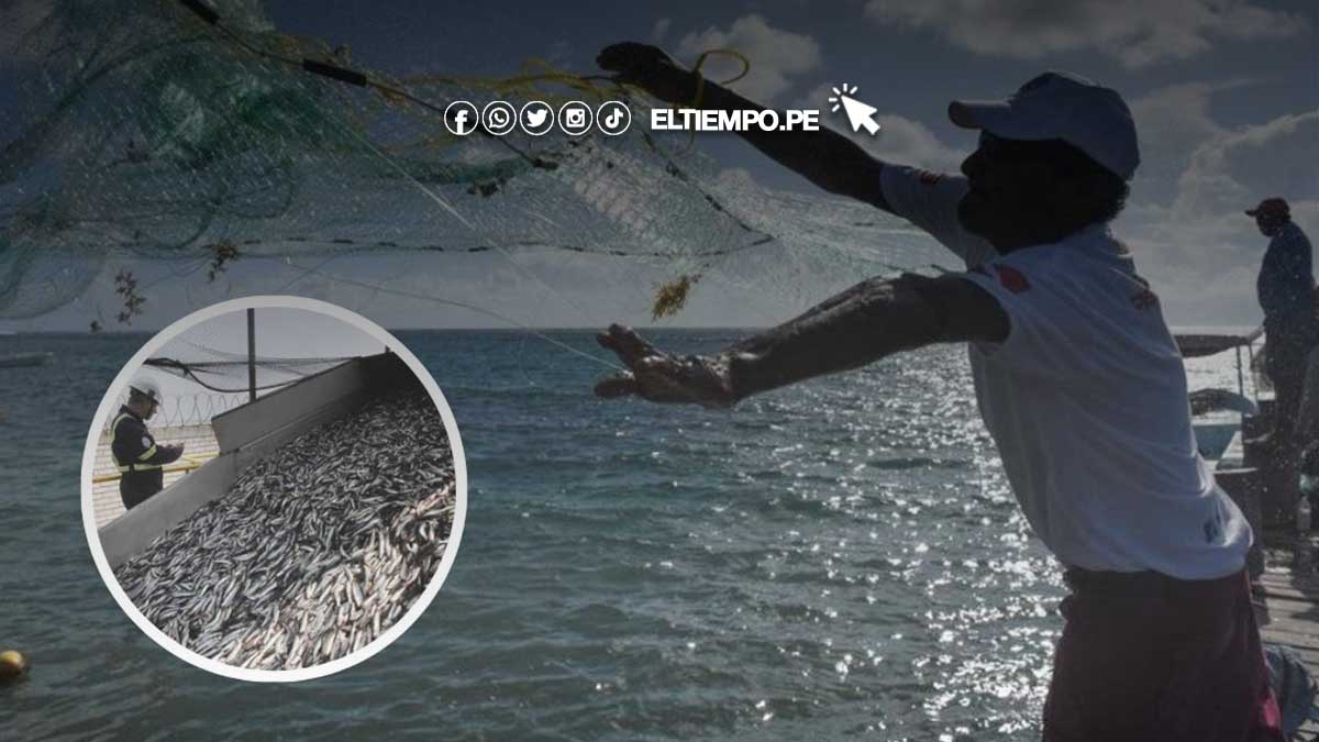 anchovetacalentamiento-del-mar