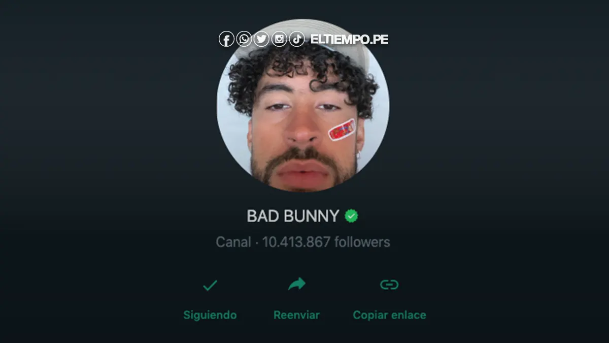 bad-bunny-canal-de-whatsapp-foto