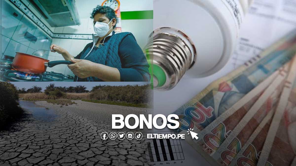 beneficiarios-bonos