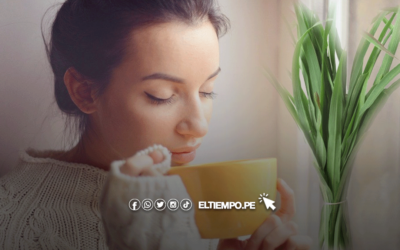 Estos son los beneficios de la hierba luisa ‘peruana’ y qué propiedades tiene