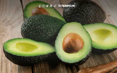 15 beneficios de la palta para tu salud y cuáles son sus contradicciones