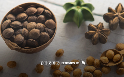 Beneficios de Sacha Inchi, cómo se consume y cuáles son sus contraindicaciones
