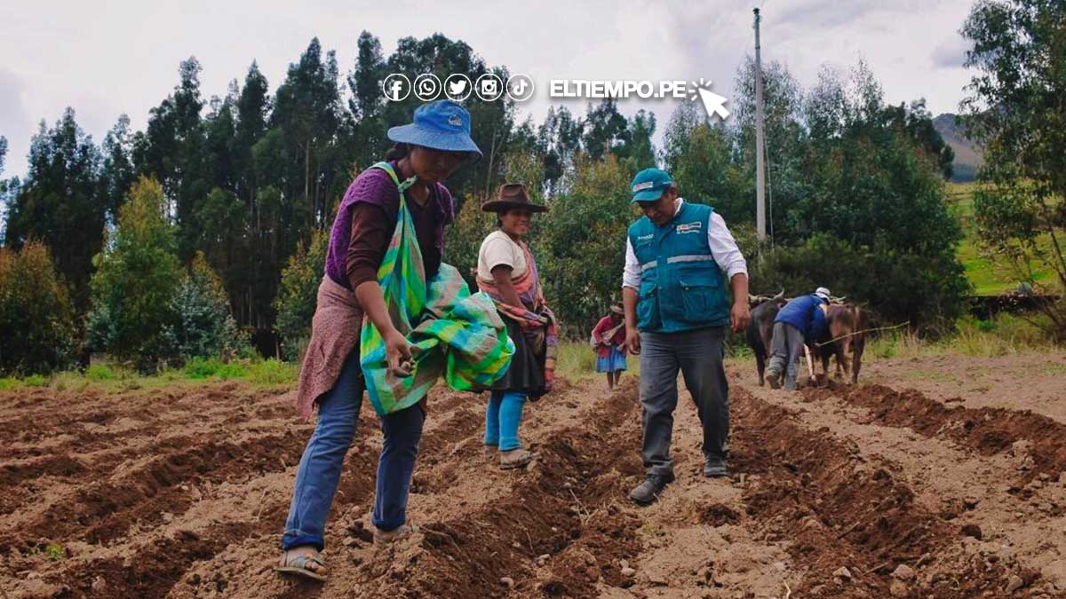 bono-fertiabono-2-en-peru-2023-aj