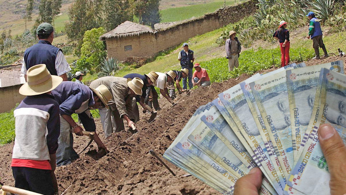 bono-fertiabono-2022