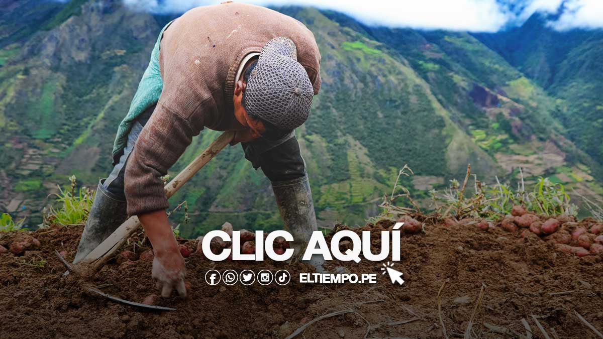 bono-recuperate-ya-gob-pe-midagri-link-oficial-2023