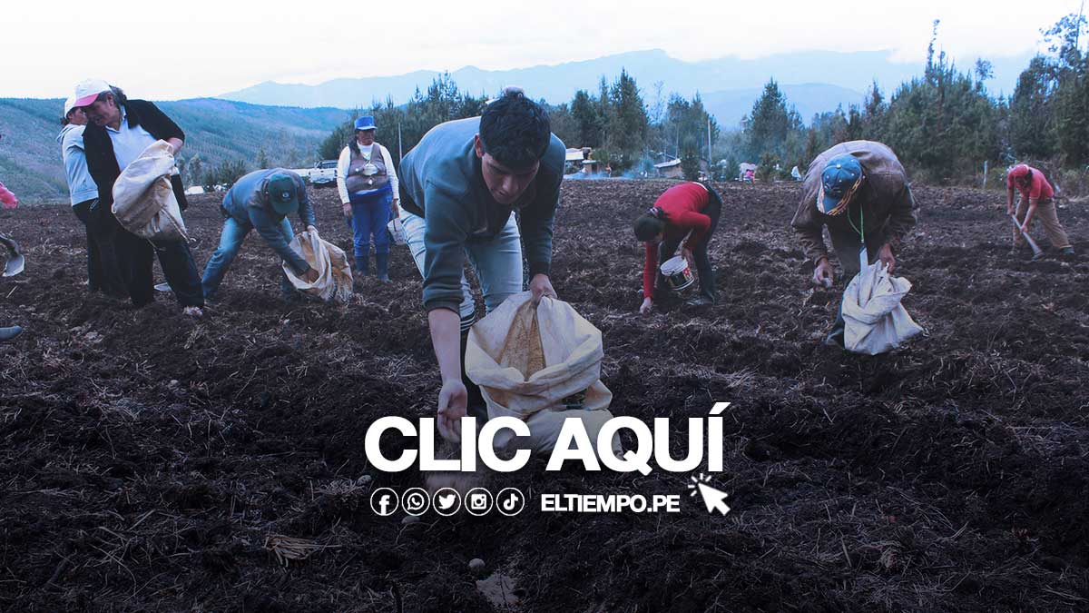 bono-sequia-bono-de-800-soles-en-Peru-2023