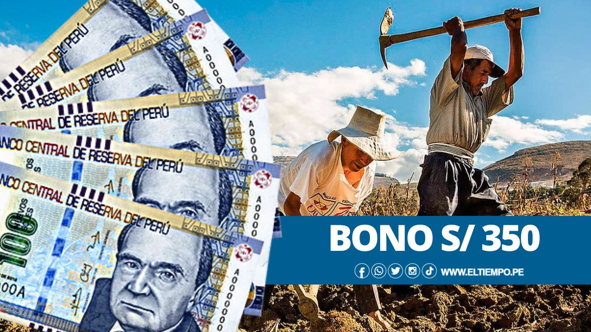 xr:d:DAFDx3xi1tw:959,j:37921341819,t:22101316