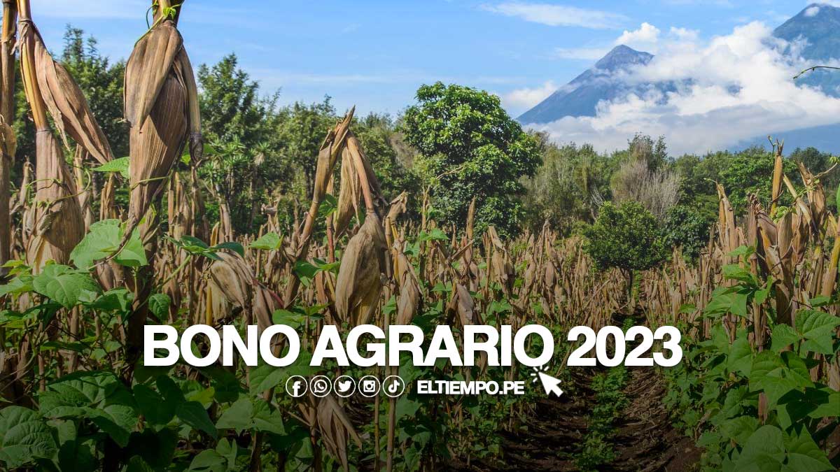 bonoagrario2023