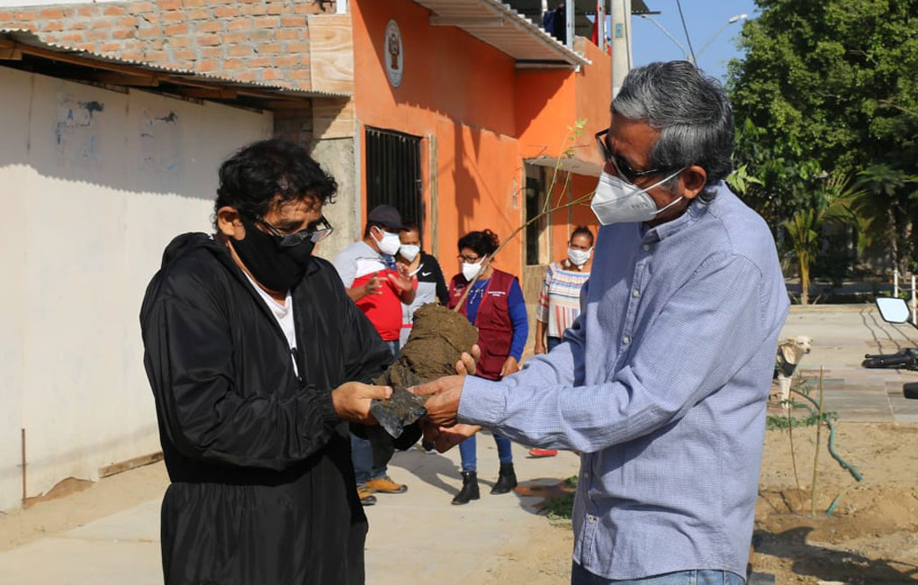 campana-plantas-sullana