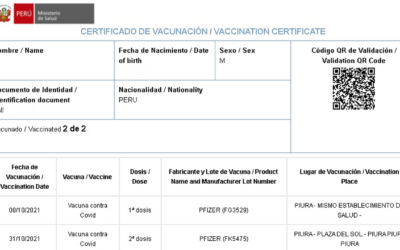Carnet de vacunación COVID-19: Descarga aquí el documento del Ministerio de Salud (Minsa)