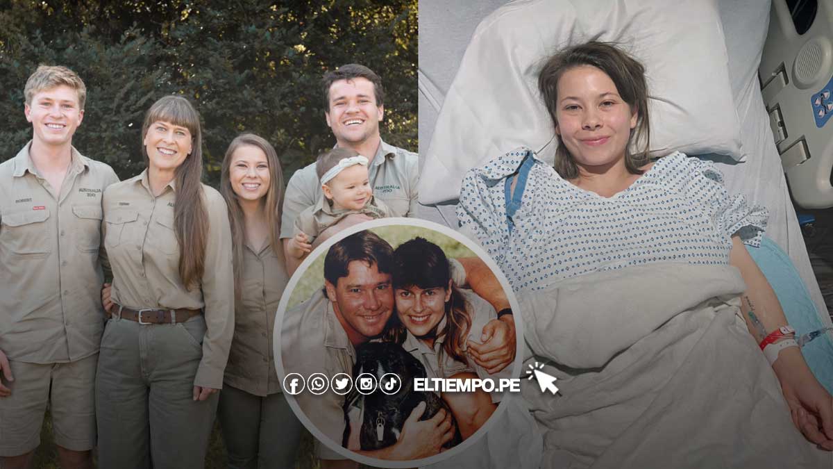 casado-de-cocodrilos