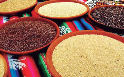 Potencia tus defensas con cereales andinos