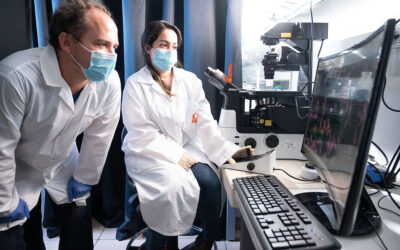 Universidad de Washington proyecta 20 mil fallecidos por COVID-19 en Perú para agosto