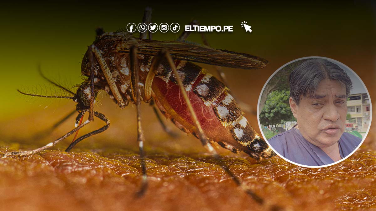 colegio-medico-considera-que-se-necesitan-acciones-mas-energicas-contra-el-dengue