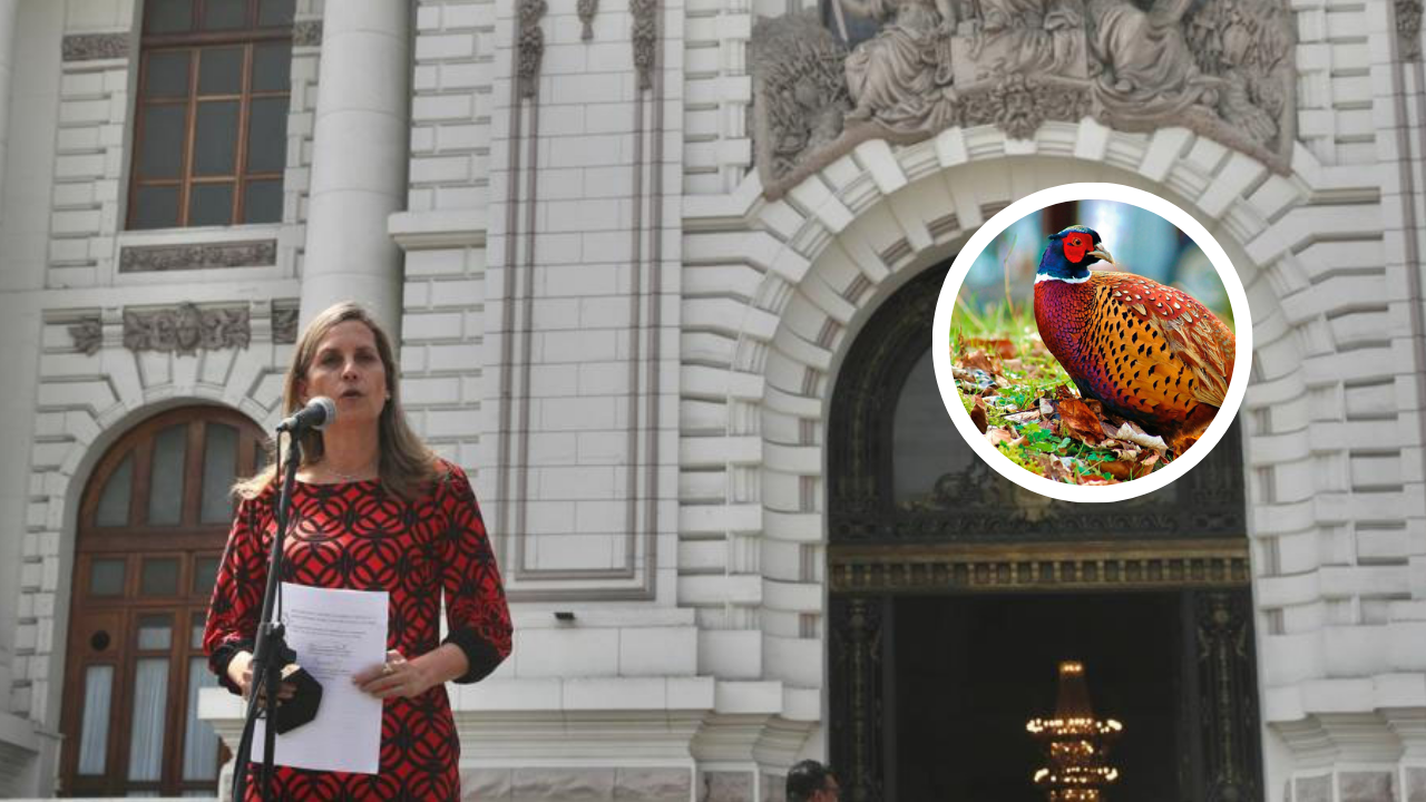 collage-2022-04-11T172848.335