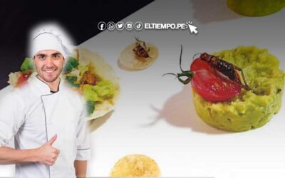 Descubre 3 recetas para preparar unos suculentos grillos ¡ Anímate a probarlo!