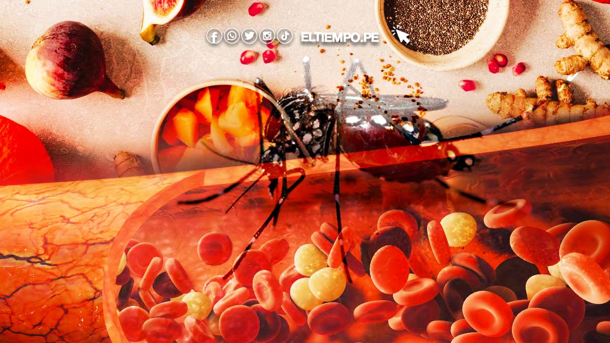 como-subir-las-plaquetas-cuando-hay-dengue