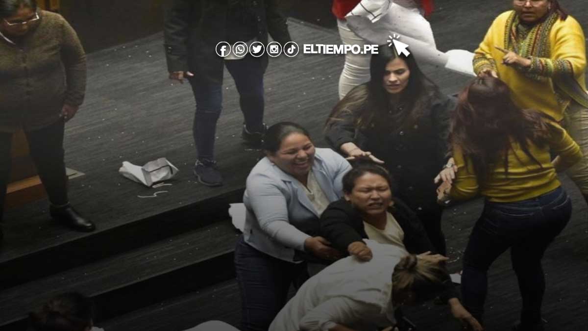 congresistas-bolivianos