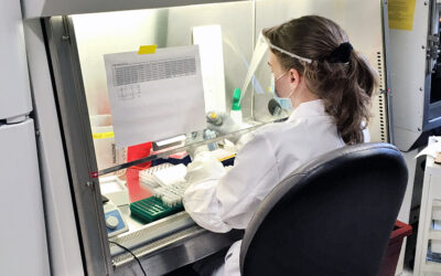 Personas no vacunadas se reinfectarán cada 16 meses en promedio según estudio de Yale