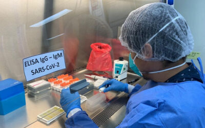 Logran aislar la cepa peruana de la COVID-19