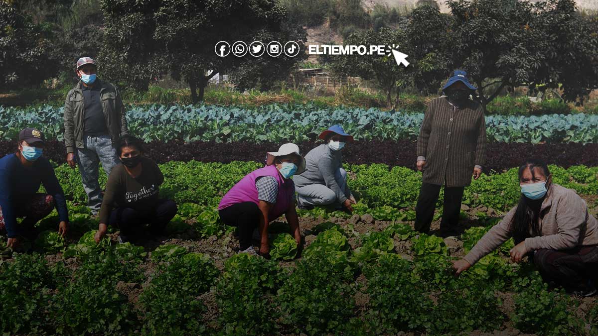 cronograma-de-pago-fertiabono-2023