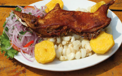 Coronavirus: Refuerza tu sistema inmunológico con carne de cuy