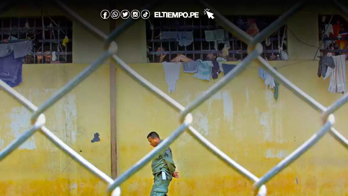 decreto-legislativo-1585