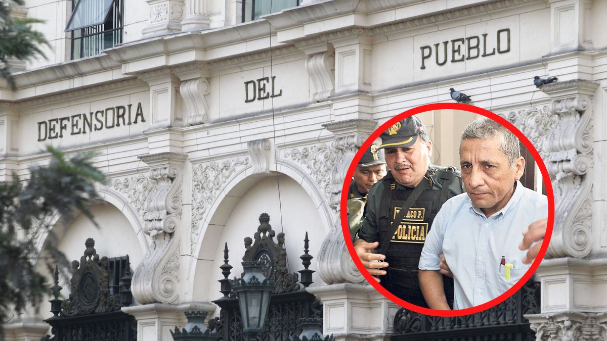 xr:d:DAFLBmw9DA0:216,j:34951130342,t:22090923