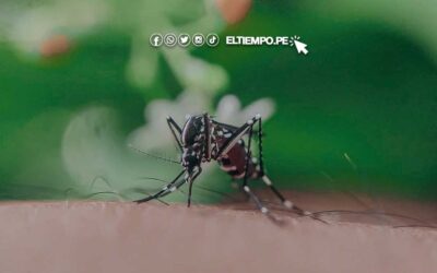 Dengue en Piura 2023: ¿qué hacer si tienes dengue? Síntomas y cuidados necesarios