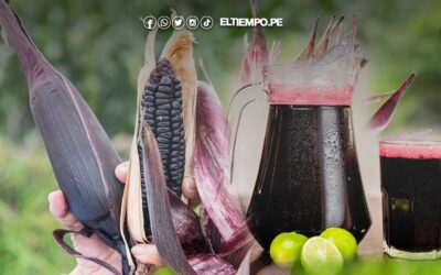 Día del Maíz Morado en Perú: Descubre sus 10 beneficios y cuáles son sus contradicciones