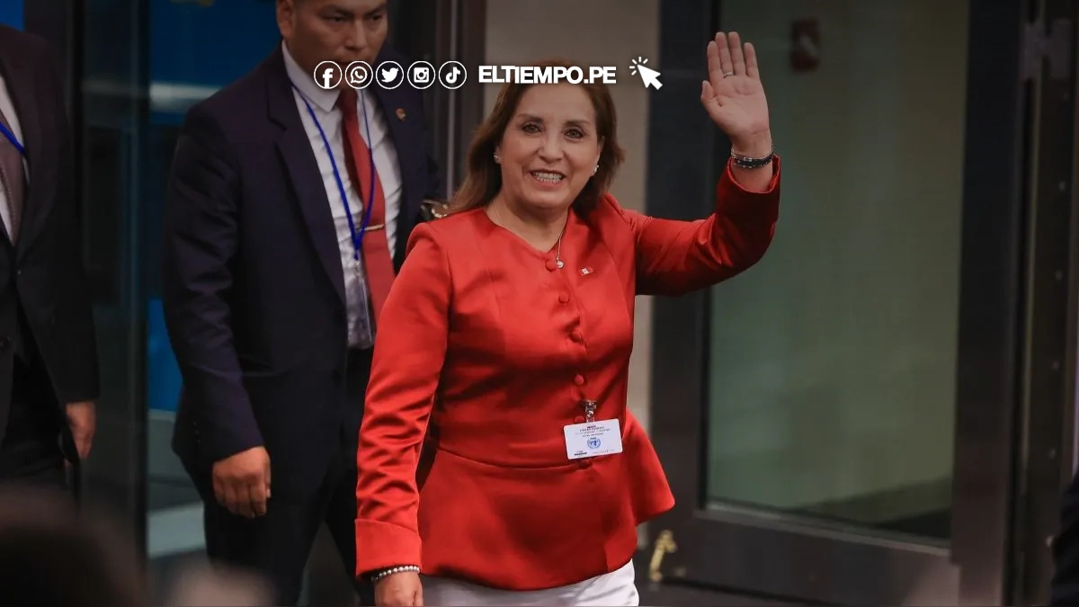 dina-bolaurte-sobre-la-jnj