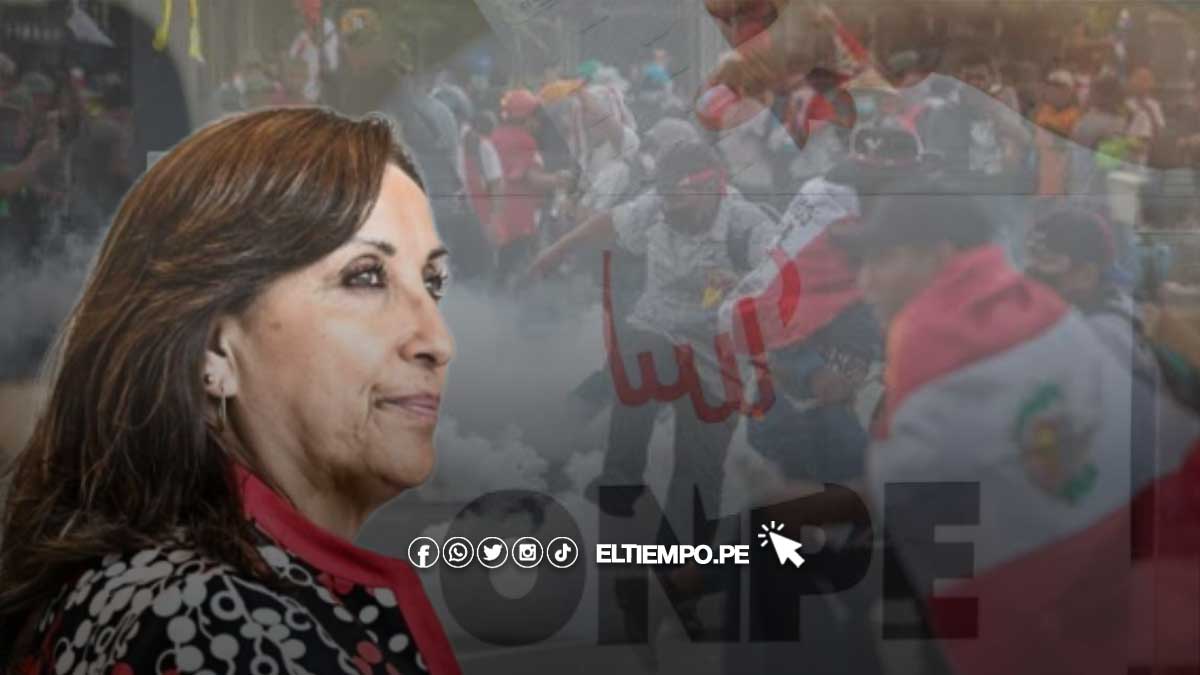dina-elecciones