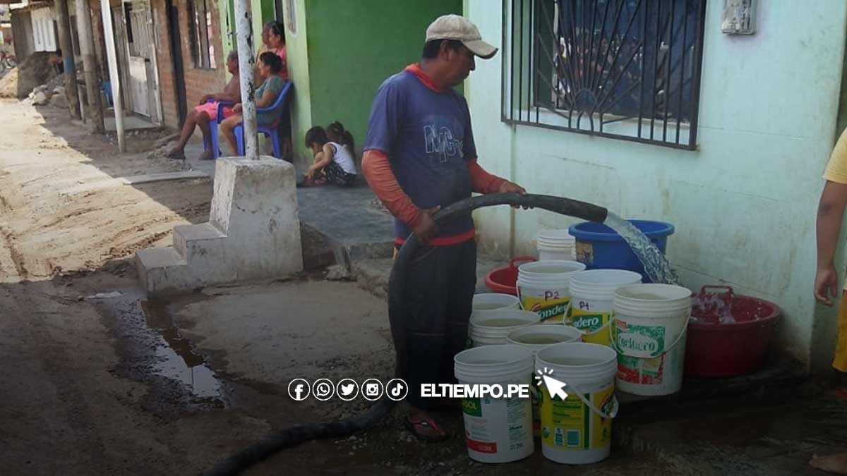 dodo