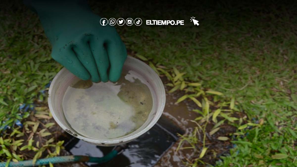 editorial-la-comunidad-contra-el-dengue